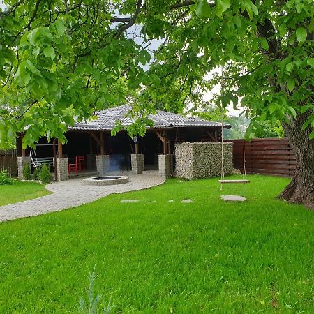 ホテル Casa Pisica Noastra ブレアザ エクステリア 写真