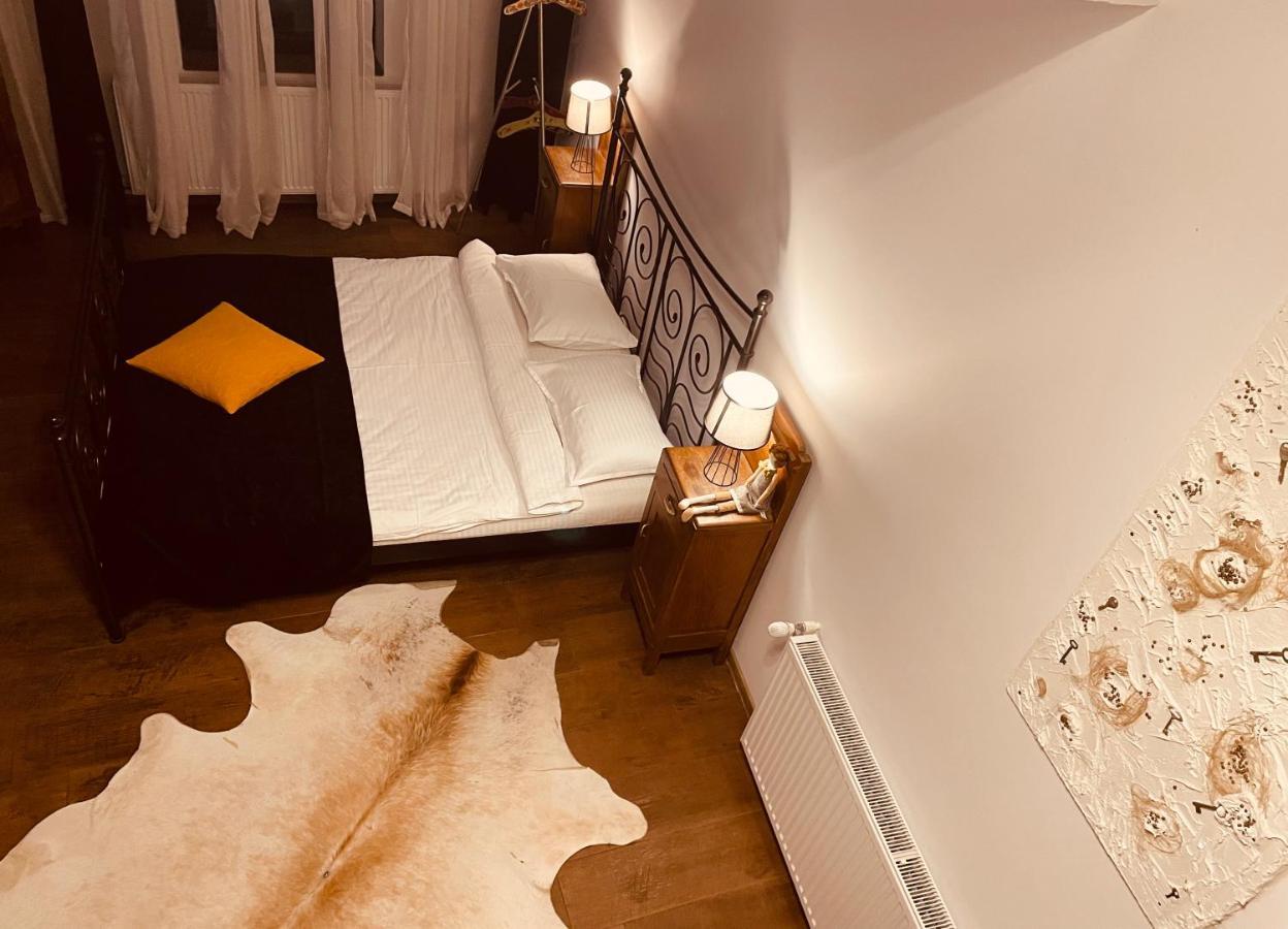 ホテル Casa Pisica Noastra ブレアザ エクステリア 写真