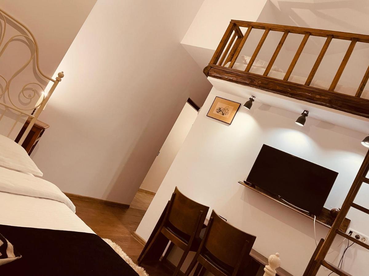 ホテル Casa Pisica Noastra ブレアザ エクステリア 写真