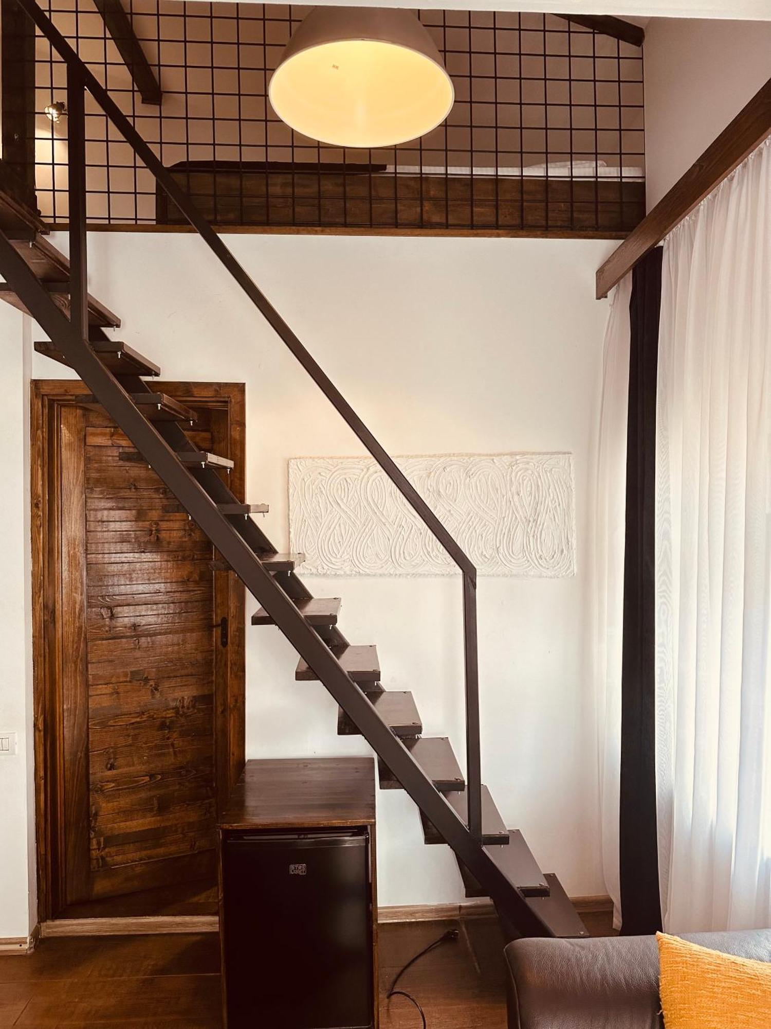 ホテル Casa Pisica Noastra ブレアザ エクステリア 写真
