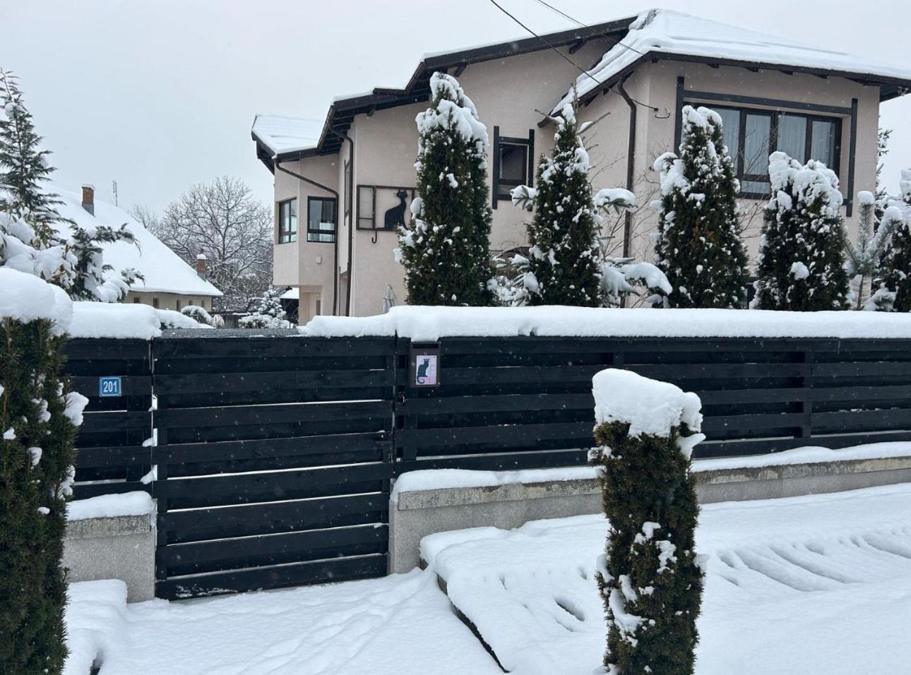 ホテル Casa Pisica Noastra ブレアザ エクステリア 写真
