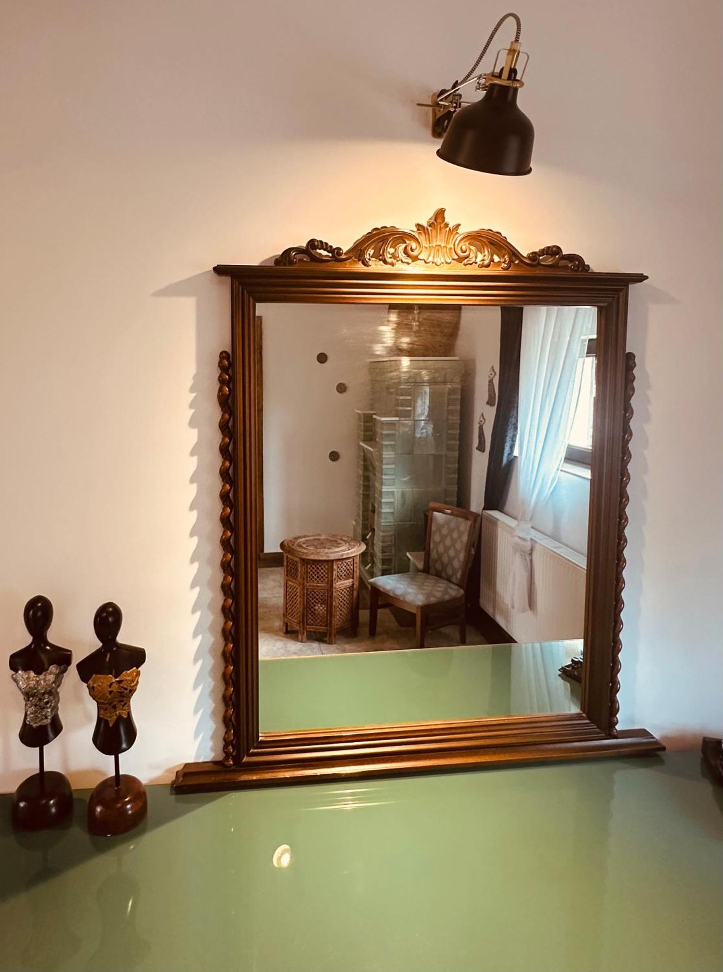 ホテル Casa Pisica Noastra ブレアザ エクステリア 写真