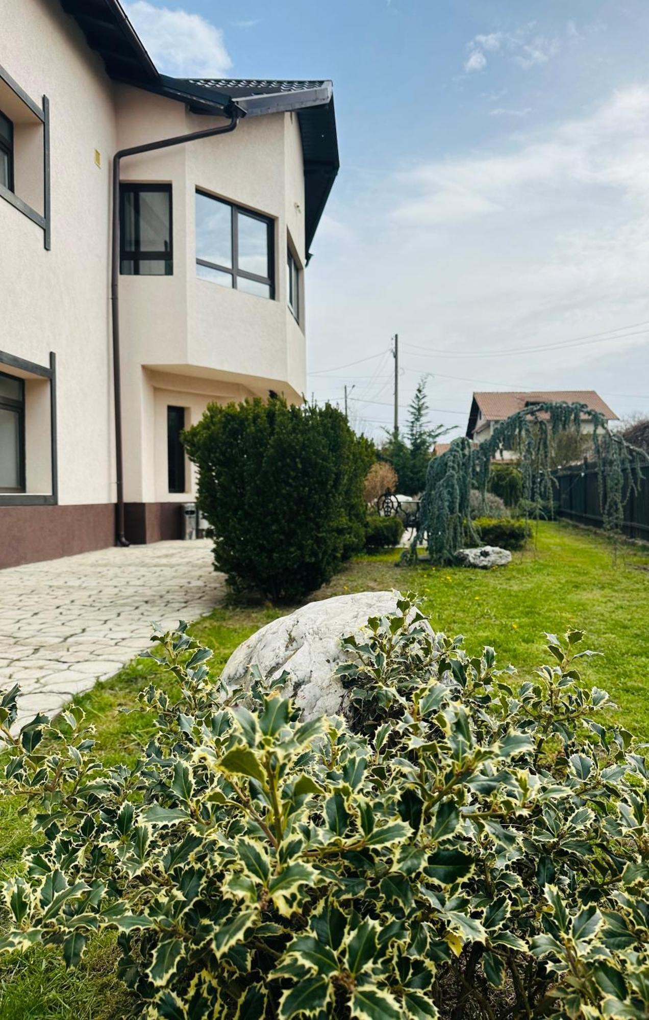 ホテル Casa Pisica Noastra ブレアザ エクステリア 写真