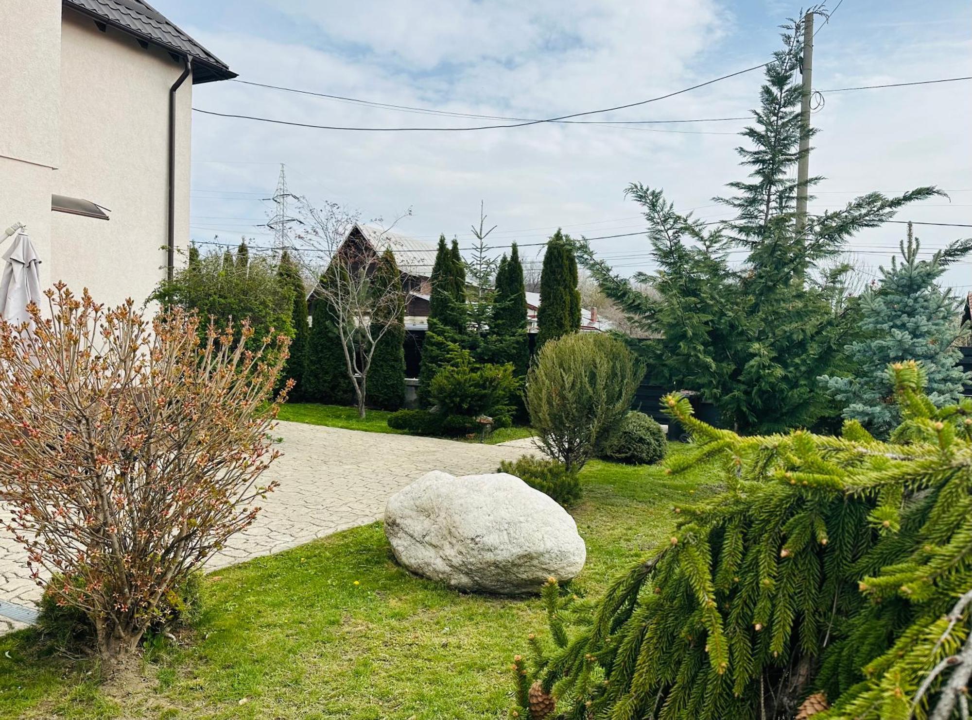 ホテル Casa Pisica Noastra ブレアザ エクステリア 写真