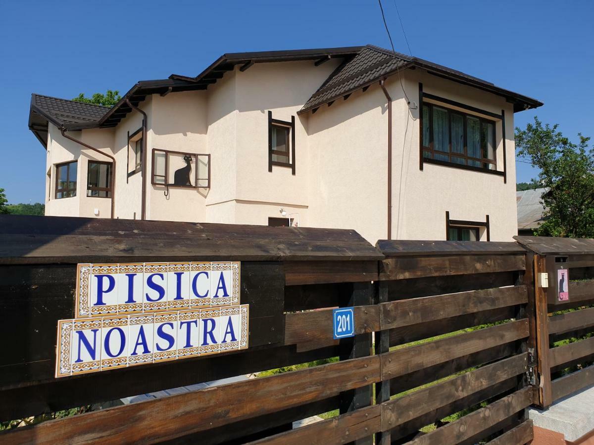 ホテル Casa Pisica Noastra ブレアザ エクステリア 写真
