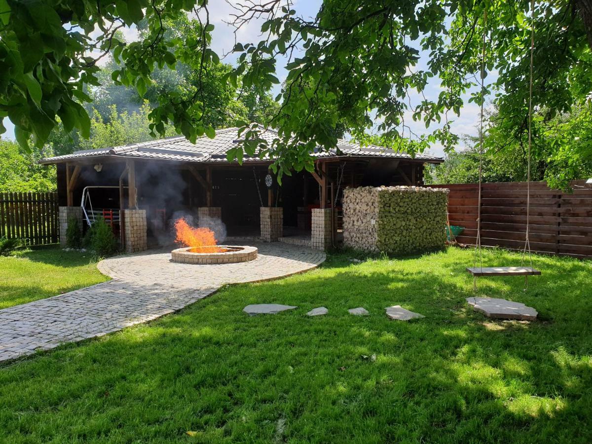 ホテル Casa Pisica Noastra ブレアザ エクステリア 写真
