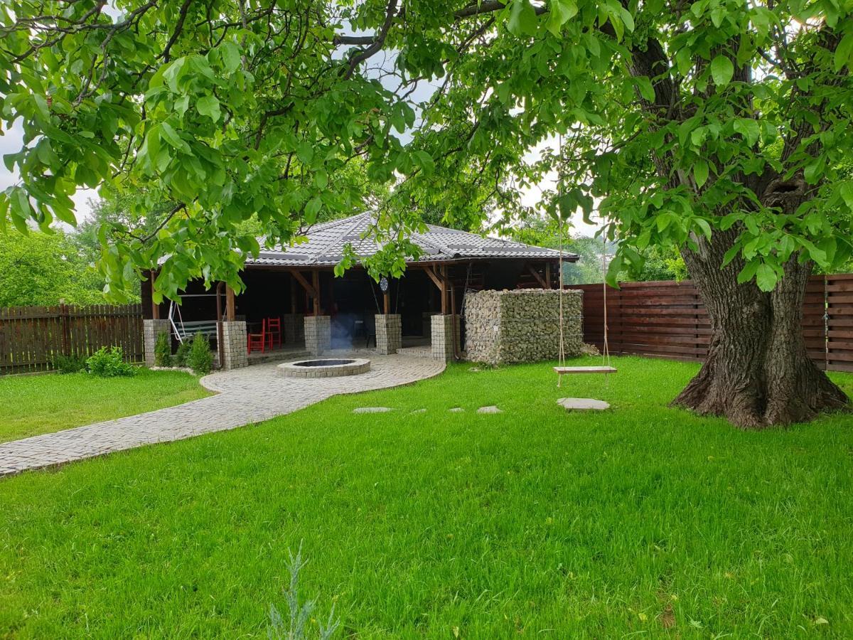 ホテル Casa Pisica Noastra ブレアザ エクステリア 写真